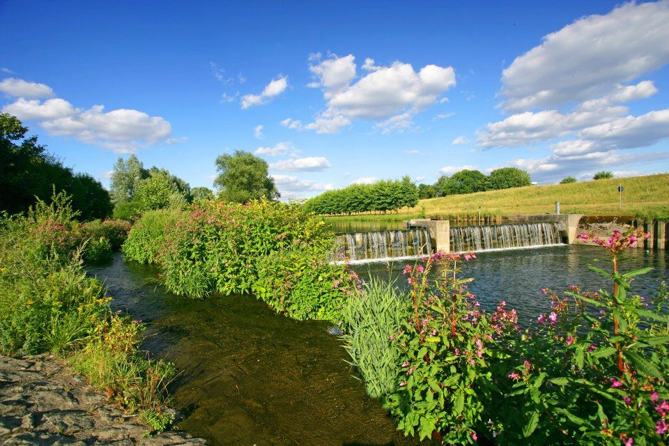Ein malerischer Fluss mit einer Brücke und blühenden Blumen im Vordergrund, perfekt für entspannende Freizeitmöglichkeiten.